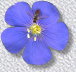 rvjournal110013.jpg